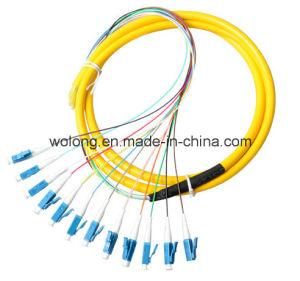 12 Core LC Fiber Optic Pigtail