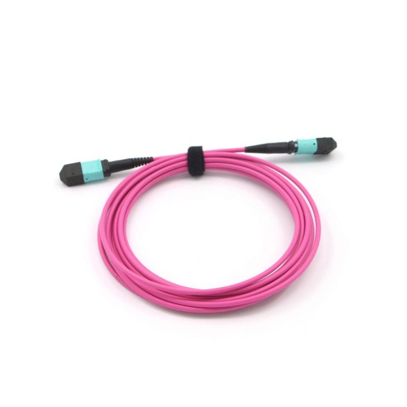 MPO/PC-LC/Upc 12 Mini Round Om4-550 Magenta Fiber Optical Patch Cords