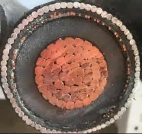 33kv U/G 1c800mm2 Bangaladesh Cable