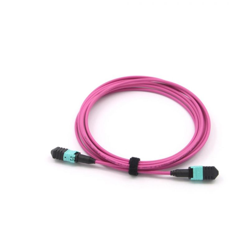 MPO Fiber Optical Patch Assembly with Different Fiber