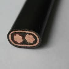 Flat Concentric Cable with 0.6/1kv Copper Wire
