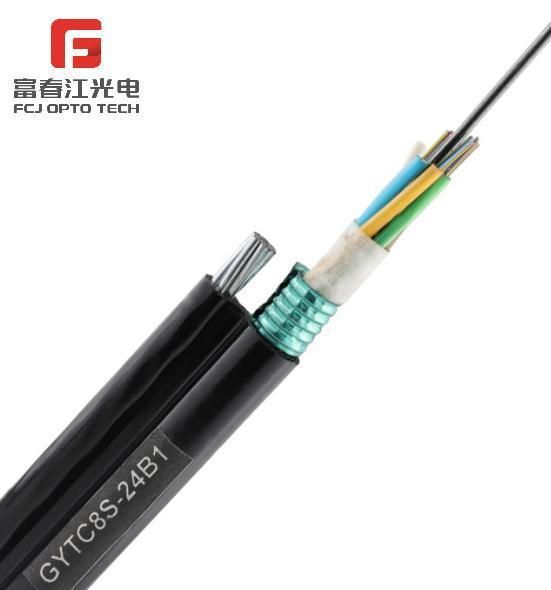 Fcj Good Price OEM Round Wire Aerial Fiber Optical Cable GYTC8S with Corrugated Steel Tape Armourd and Stranded Loose Tube Self-Supporting