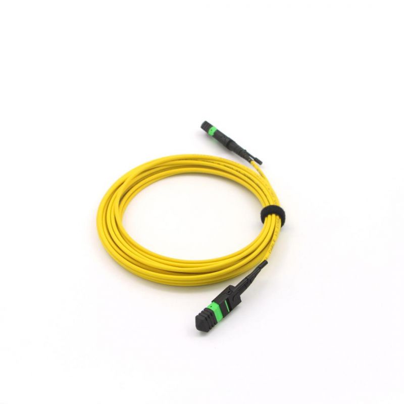 MPO Trunk Cables for High Bandwidth Routers and High-Density Data Clusters