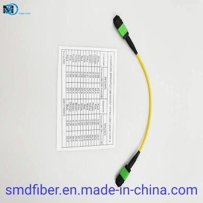 Network Indoor 12 Core Single-Mode MPO to MPO Optical Fiber Cable