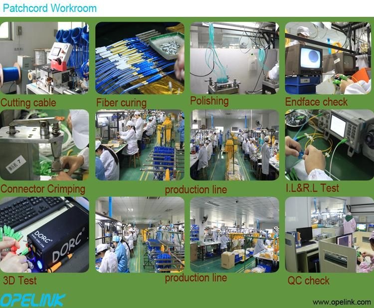 Multimode 12 Fibers MPO-LC Fanout Fiber Optic Patchcord