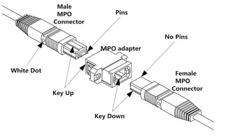 Optic Fiber Cable Om4 12 Core 24 Core MTP/MPO Patch Cord