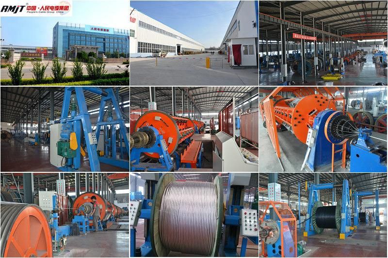 Overhead Double Insulated PVC Sheath Copper Aluminum Conductor Stranded Underground Armored Power Wire XLPE Electric Cable