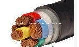 Copper Conductor Steel Wire Amoured Swa XLPE Cable