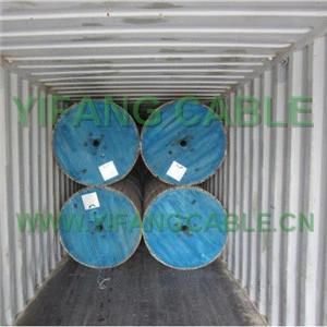 1 Core Copper Conductor Aerial Service Concentric Cable