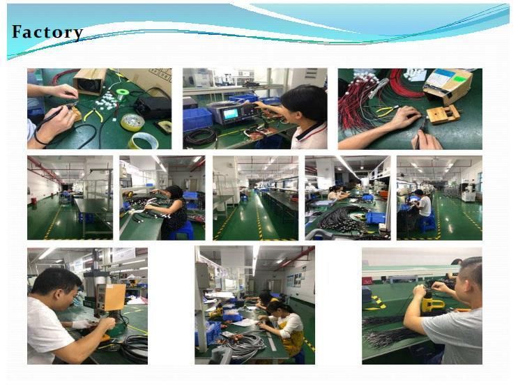 Customized Cable Assembly OEM with Terminal Connector FFC Cable Wire Harness