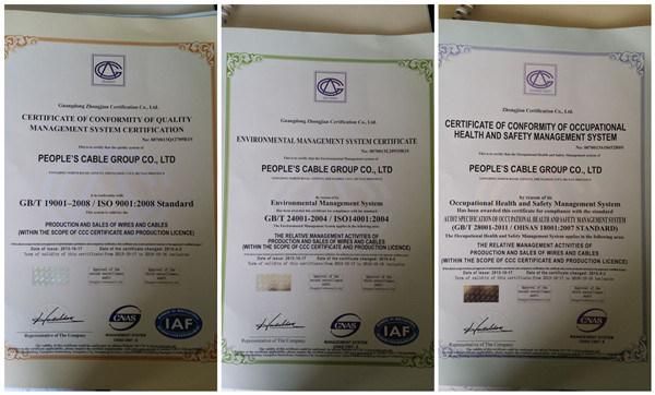 Aluminum Conductor Steel Reinforce ACSR Bare Conductor