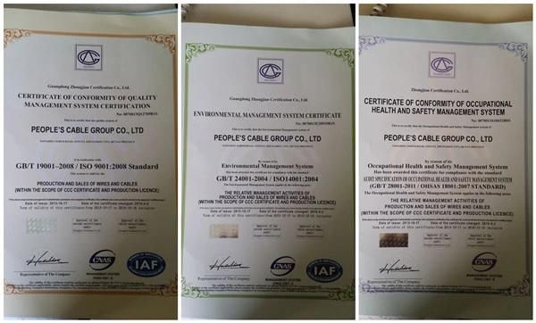 Chinese Golden Supplier AAC, AAAC, ACSR Bare Conductor