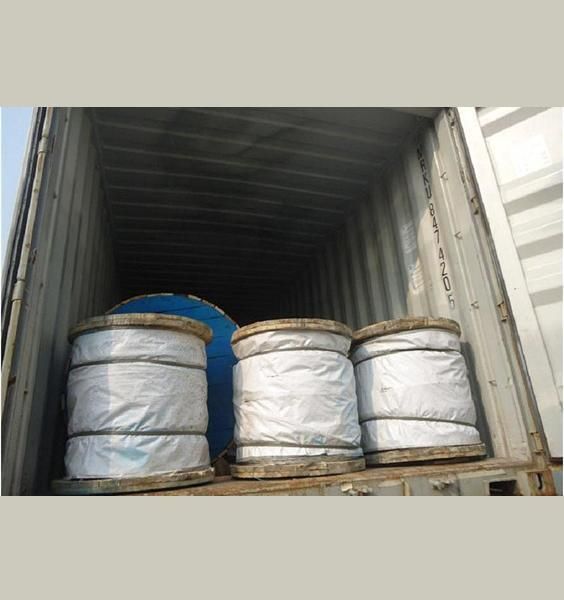 3/2.64mm Galvanized Steel Wire- Earth Wire for Uganda Market
