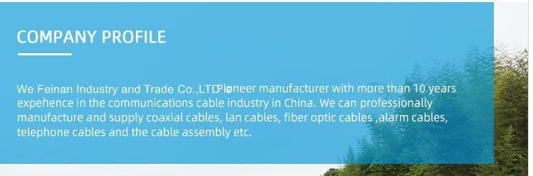 Factory Price Commucation Network UTP/FTP Cat 6 LAN Cable