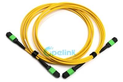High Performance High-Density MPO-MPO Trunk Fiber Optic Patchcord with Factory Price