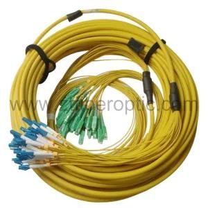 Singlemode 24 Fibers Sc-LC Fiber Optic Patch Cord