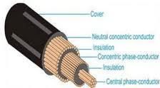 Copper Conductor Concentric Power Cable with ASTM/IEC/Bs Standard