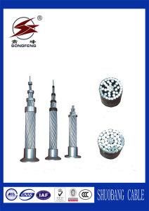 Bare Conductor AAC AAAC ACSR Aacsr Acar Acs Widely Used in Power Transmission Lines
