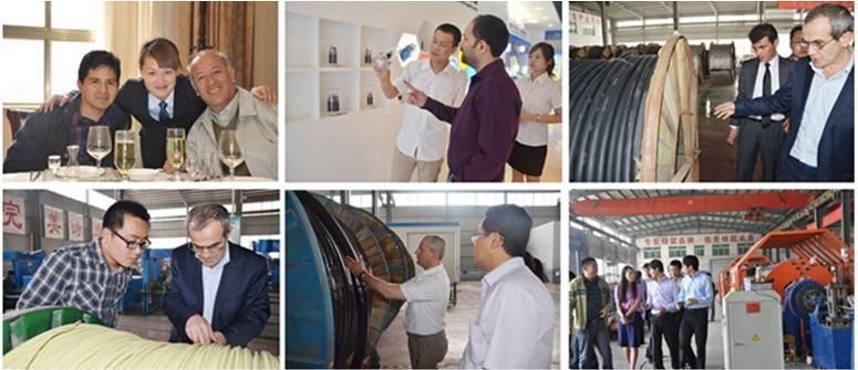 PVC Insulated Steel Tape Armored Power Cable
