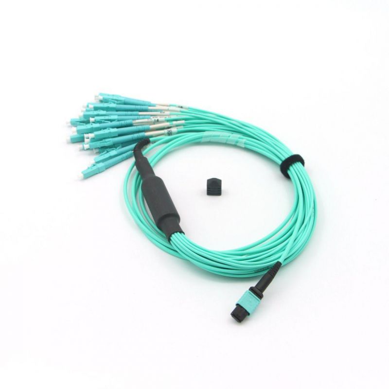 MPO (female) -LC 24 Fiber Optical Jumper Om3 with 5 Meters