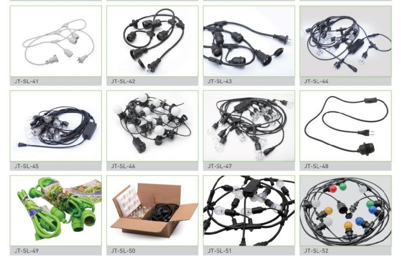 Power Cords IEC 320 C14 C15 C19 C20 of Network Cabinet