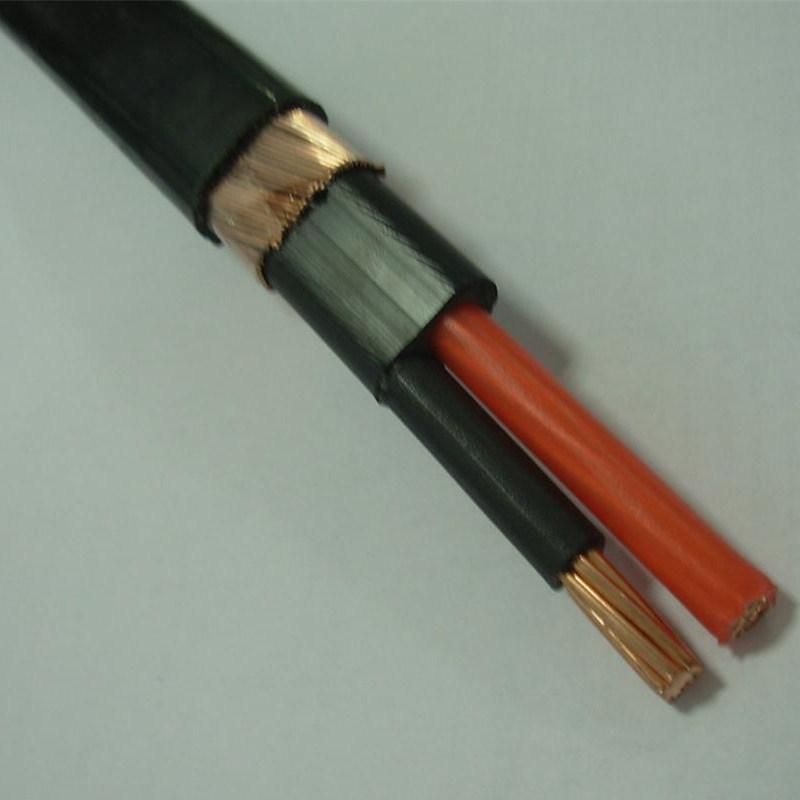 2X8AWG 2X10AWG 3X8AWG 3X6AWG Electric Copper Concentric Cable