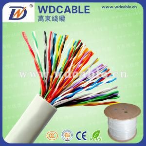 20 Pair Cable Cat5e Network Cable/Telephone Cable