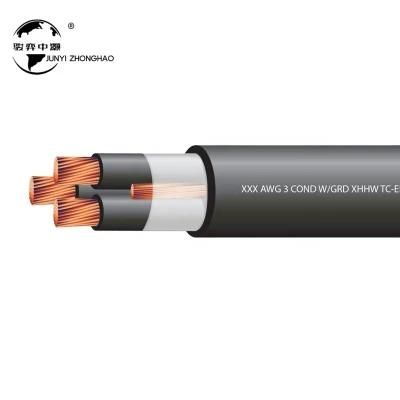 Hot Sale Torsion Resistance Wind Turbine Silicon Rubber Insulated 3/0AWG Dlo Cable