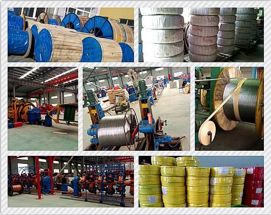 3X35mm2 4X25mm2 Multi Core Aluminum Copper Armored XLPE PE Power Cable