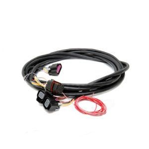 Cwhao12b Window Device Automobile Electric Wire Harness with Approvals