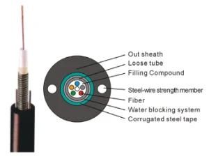 Central Loose Tube out Fiber Optic Cable (GYXTW)