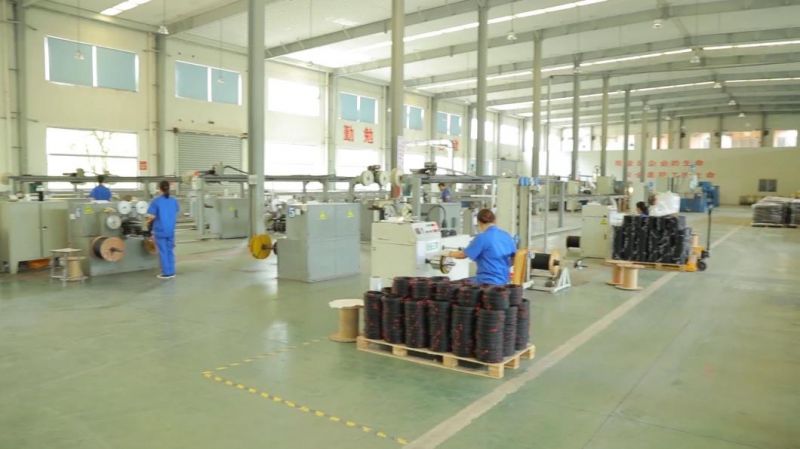 Fcj Opto Tech Singlemode Indoor Cabling Fiber Optic Cable Gjjv
