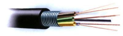 ADSS Optical Cable, Nonmetallic Optical Cable Gyfsts