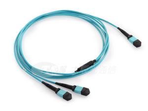 MTP/MPO Shuffle Cable