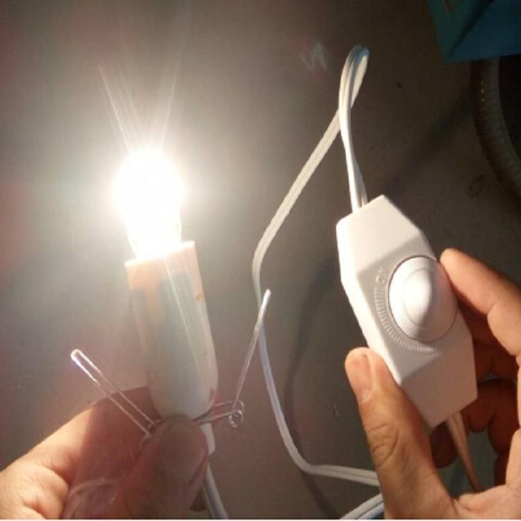 China Factory European Type 2 Pins Plug Salt Lamp Power Cord