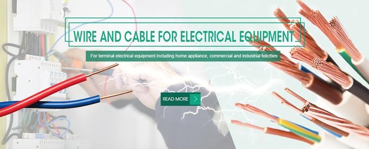 House Wire Building Wire Copper PVC or Nylon Insulated Electric Wire