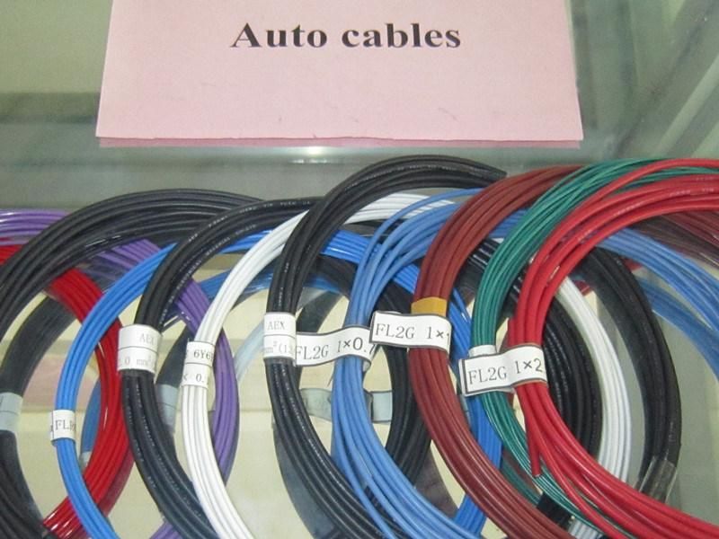 Twp Type Low-Voltage Basic Cable with PVC Insulation for Auto System