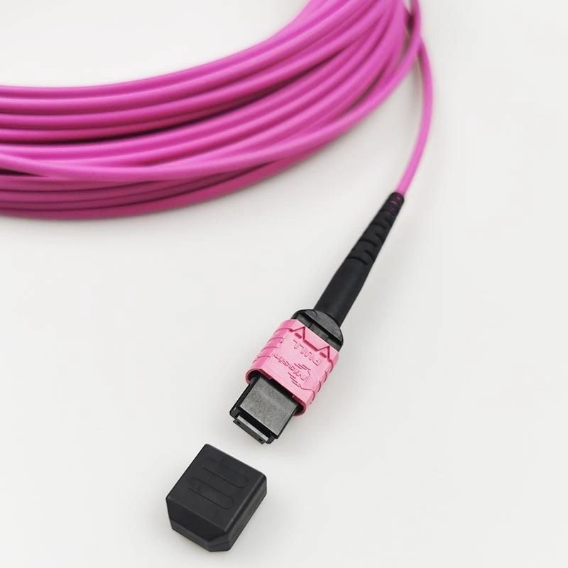 MPO Om4 50/125 Multimode Fiber Optic Cable LSZH Fiber Optic Patch Cord / Jumper