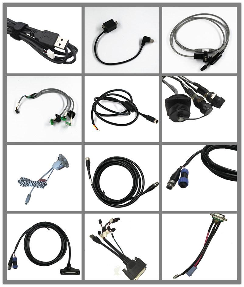 300V Over Mold LED Cable & Cable Assembly