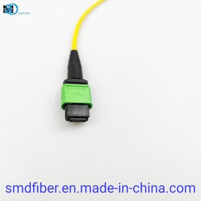 Singlemode G657A1 12cores Fiber Optic Cable with MPO to MPO Connector
