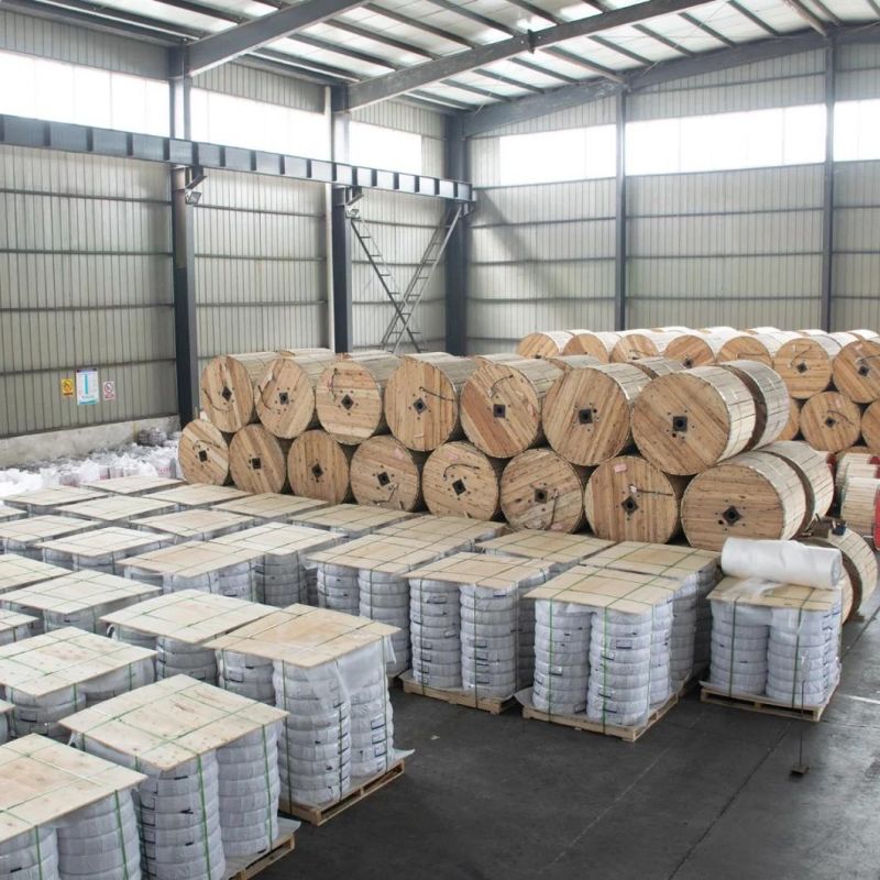Competitive Price China Supply AAC 185mm2 Bare Conductor