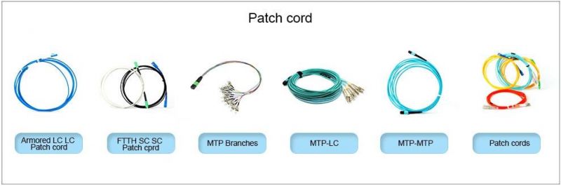 Upc/APC Sc/LC/FC/St/Mu/MTRJ/E2000 Simplex/Duplex 62.5/125 Singlemode Multimode Om1/Om2/Om3/Om4/Om5 2.0/3.0mm, 3meters Fiber Optic Patch Cord