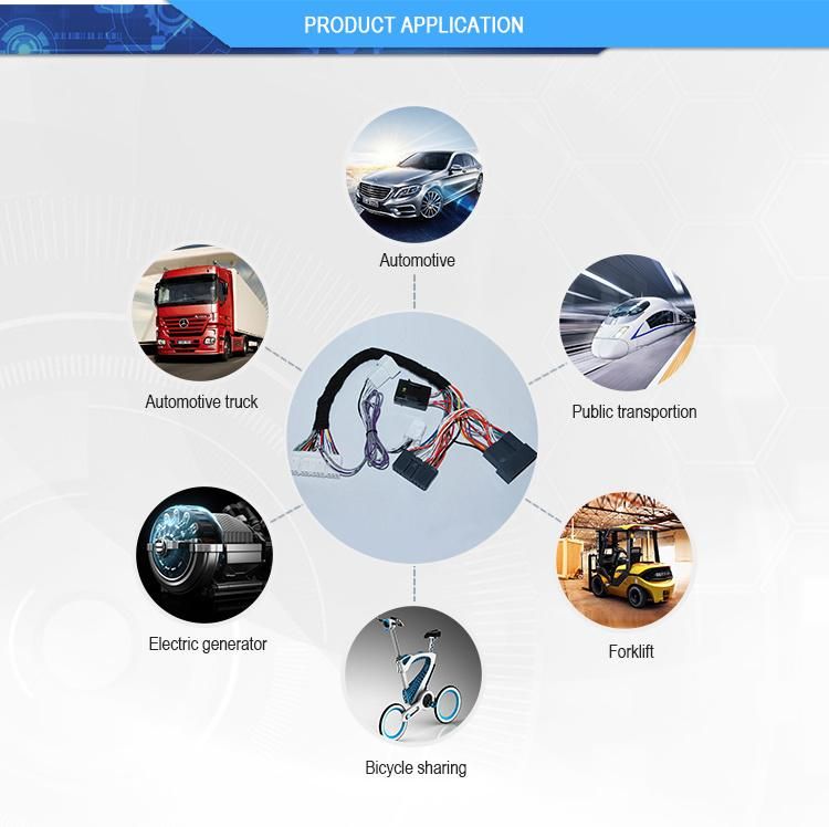 Custom Made Multifunctional Automotive Wire Harness for Honda City