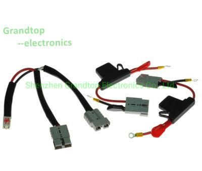 China Electrical Wire Cable Molex Wire Harness Assembly