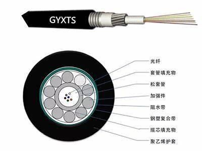 Fcj G652D Central Tube Optical Fiber Cable Steel Wires Armored Gyxts