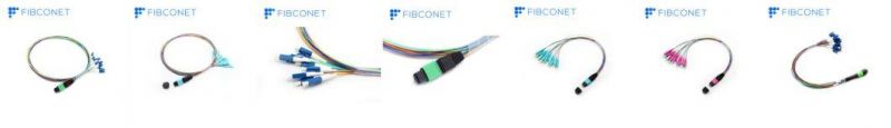 8/12/24 Cores MTP (Male) Fanout 0.9mm 30cm Fiber Patch Cable