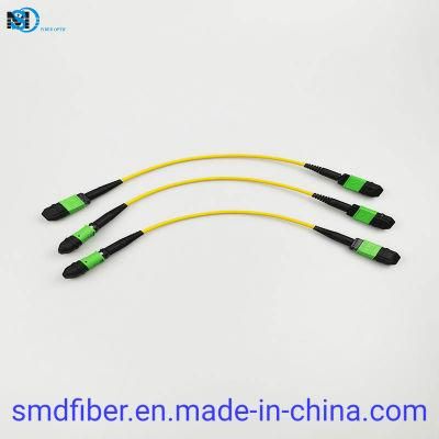 MPO-MPO Singlemode 12cores LSZH Fiber Optic Cable for Data Center