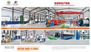 Manufacturer Free Samples Cu/Al XLPE Insulated LSZH Sheathed Power Cable with China Standard Yjlv Cable