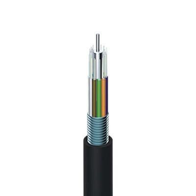 Fcj 29 Years Fibre Optical ODM Factory Jelly Filled Outdoor Armored 12 24 48 Core GYTY53 Fiber Optic Cable Availability