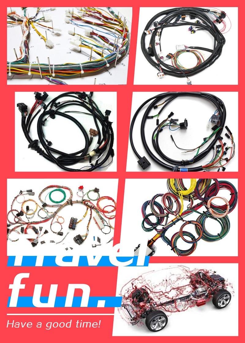 Custom Male to Female 2p 3p 4p 5p 6p 10p 20p 30p 40p Jumper Wire Harness
